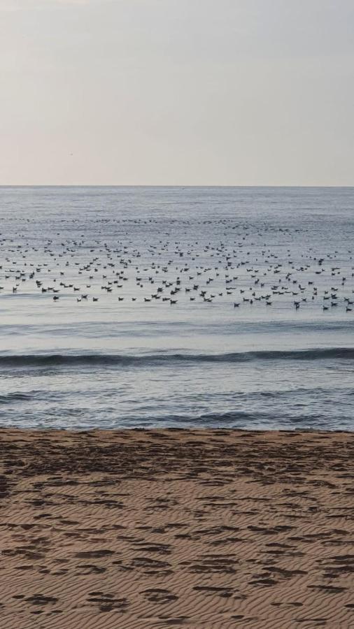 Vilasuites Beach, Sand & Menta Villajoyosa Exterior foto